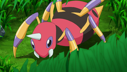 Shiny Ariados, Pokémon Wiki