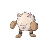 Pokédex Image Primeape SM.png