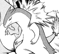 Kenta's Typhlosion