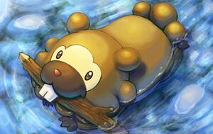 PTCGIC24 Bidoof40.jpg