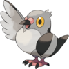 0519Pidove.png