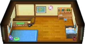 Player Bedroom f ORAS.png
