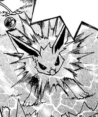 Senpai's Jolteon