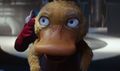 Lucy Stevens Psyduck.jpg