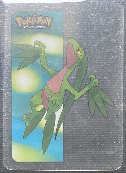 File:Pokémon Advanced Vertical Lamincards 11.jpg