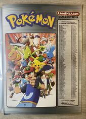 Pokémon Lamincards Rainbow Advanced - album last page.jpeg
