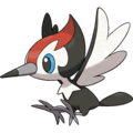 Pikipek.png