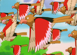 Kanto Route 1 Spearow.png