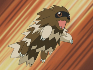 Victor Zigzagoon.png