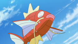 pokemon magikarp