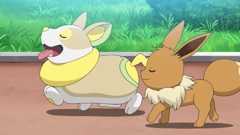 File:Yamper and Eevee.png
