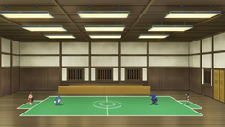 Cianwood Gym Battlefield JN.png