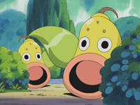 Weepinbell (Multiple)