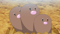Laxton Dugtrio.png