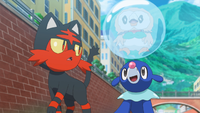 The Alola first partner Pokémon, owned by Ash and Lana
