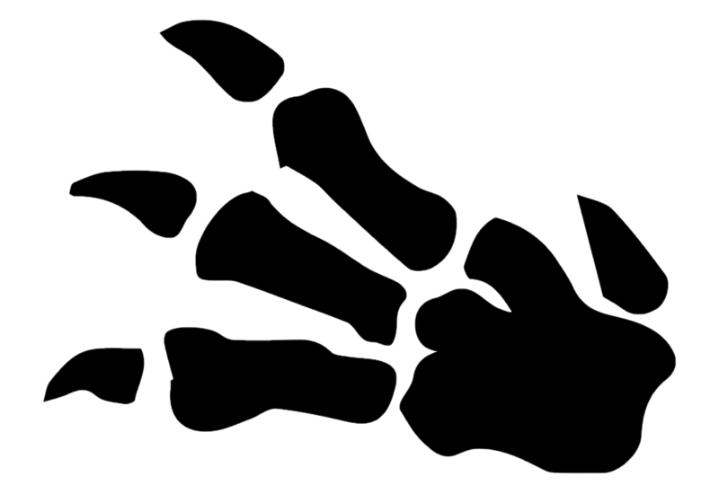 File:SetSymbolFossil.png