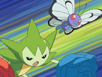 Drew's Butterfree