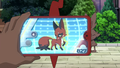 Goh's Rotom Phone scanning a Nickit