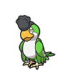 Squawkabilly