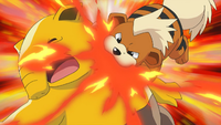 Officer Jenny Growlithe Fire Fang.png