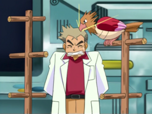 Professor Oak Lecture EP174.png