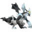 Kyurem fused with Zekrom