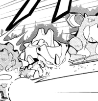 Marshadow's Rhyhorn and Rhydon