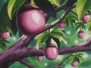 Pnk Apricorn anime.png