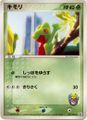 キモリ Treecko promo card