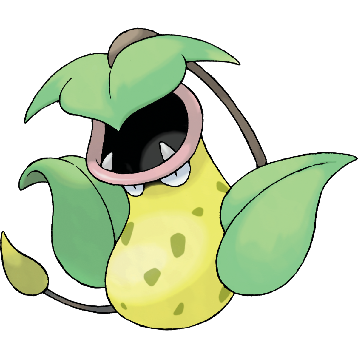 Pitcher plant pokemon