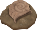 Helix Fossil PE.png