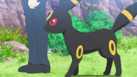 Spinel's Umbreon