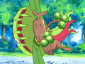 Brock Sudowoodo Rock Head.png