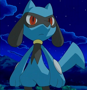 Riolu anime.png