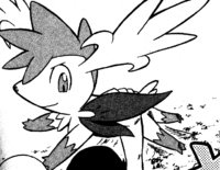 Hareta's Shaymin