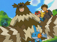 Zigzagoon (Pokémon) - Bulbapedia, the community-driven Pokémon encyclopedia