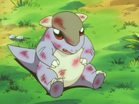 Baby Kangaskhan