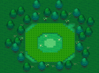Mirage Forest west of Route 114 ORAS.png