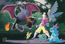 Pokémon Gallery Collection - Chance Encounter with a Shiny Pokémon.jpg