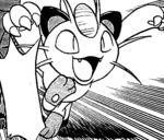 Sham Meowth Adventures.png