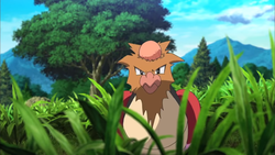 Spearow anime M20.png