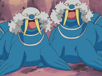 Team Aqua's Walrein