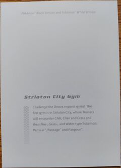 Game Art Folio Striaton City Gym back.jpg