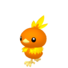 Torchic