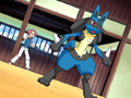 Maylene and Lucario.png