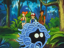 Safari Land Tangela.png