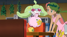 Poké Problem extra scene SM072.png