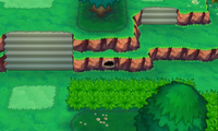 Secret Spot Route 121 3.png