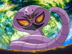 Arbok anime.png