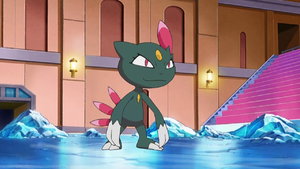 Candice Sneasel.png